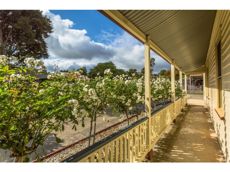 11 Ellenor Street, Scottsdale TAS 7260