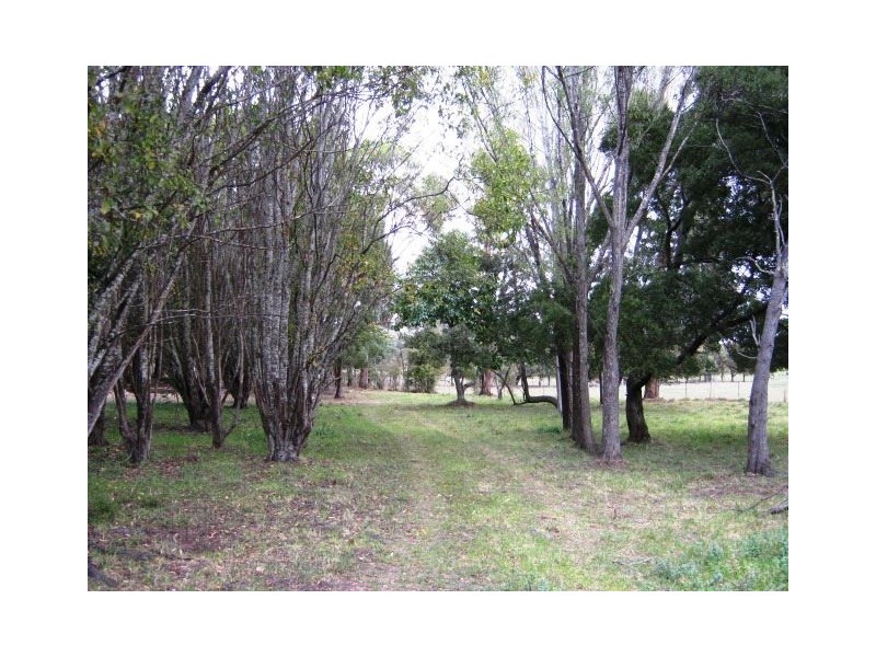 65 Station Rd, Lilydale TAS 7268