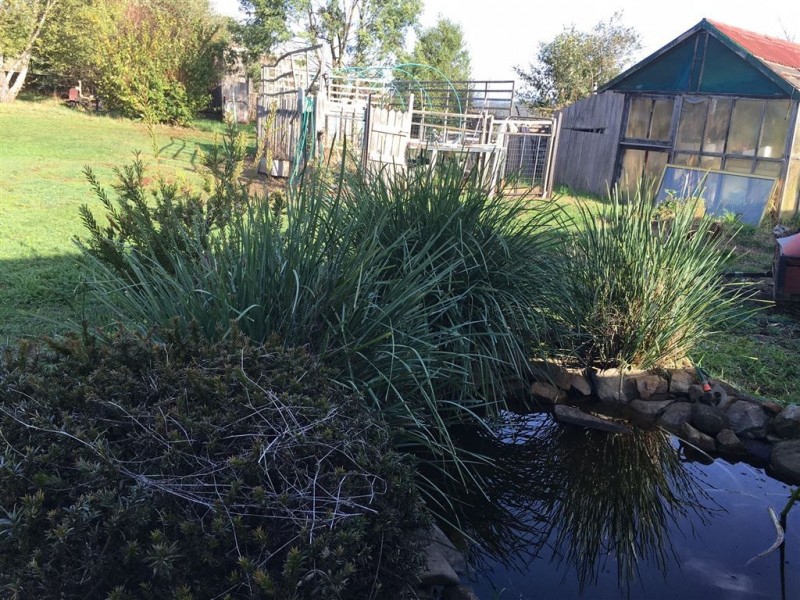 8 Diprose Street, Legerwood TAS 7263