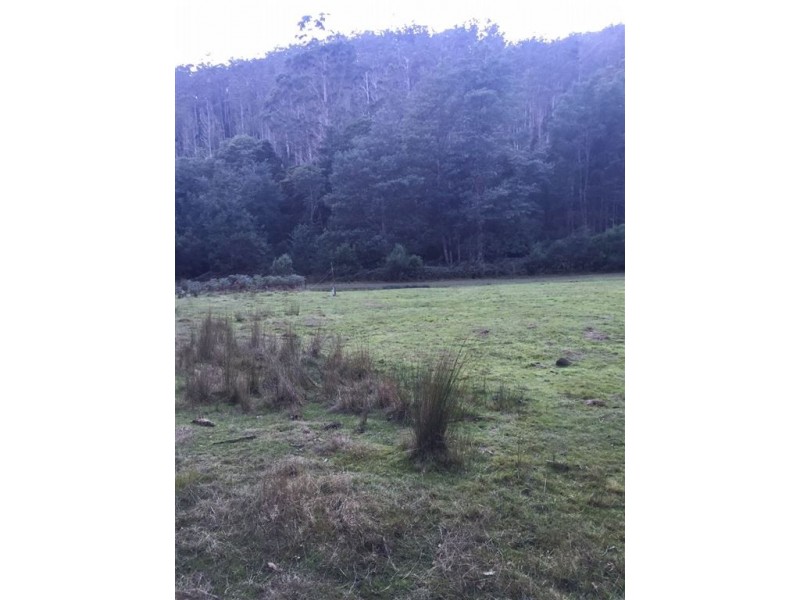 . Alberton Road, Ringarooma TAS 7263
