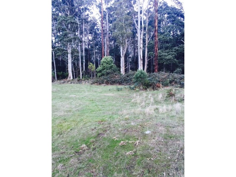 . Alberton Road, Ringarooma TAS 7263