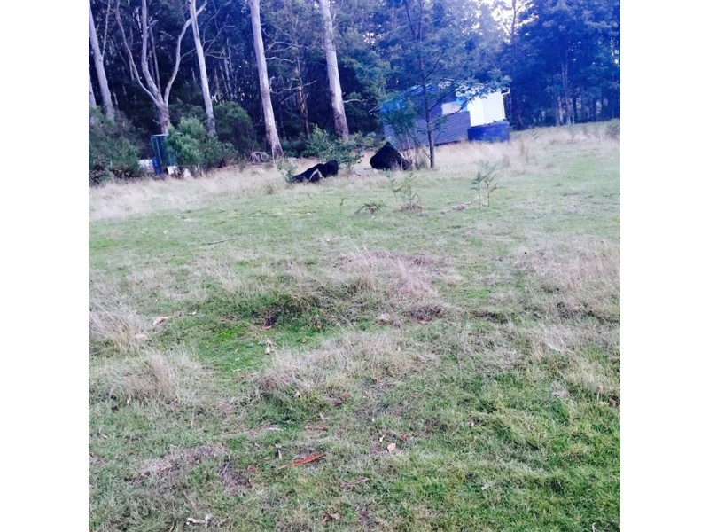 . Alberton Road, Ringarooma TAS 7263