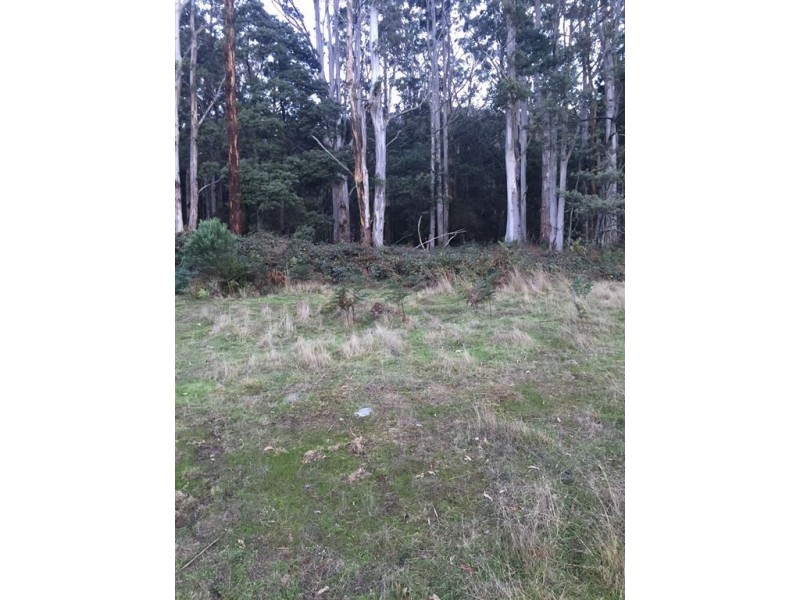 . Alberton Road, Ringarooma TAS 7263