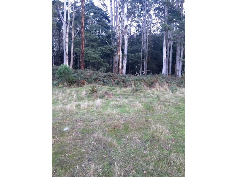 . Alberton Road, Ringarooma TAS 7263