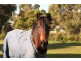 30 Holmes Court, Bridport TAS 7262