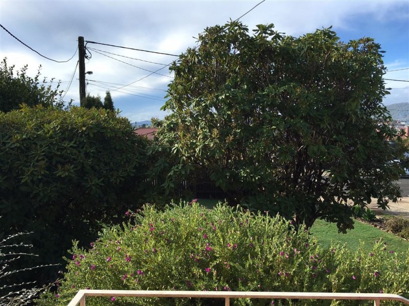 27 Ethel Street, Scottsdale TAS 7260