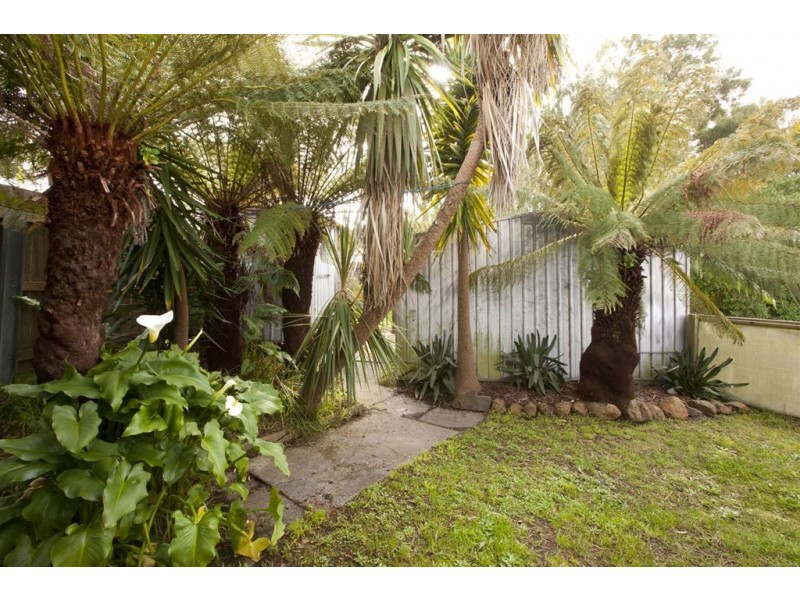 14 Main Street, Bridport TAS 7262