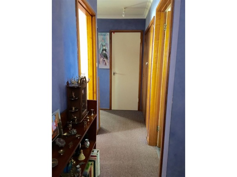 53 Spotswood Drive, Scottsdale TAS 7260