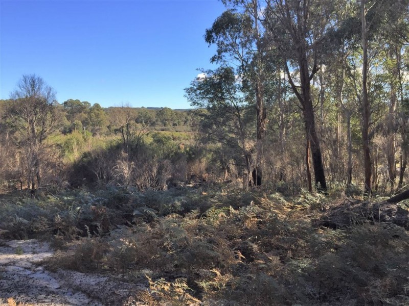 . Gladstone Road, Pioneer TAS 7264