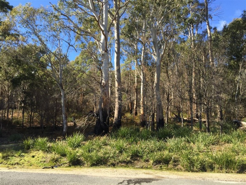 . Gladstone Road, Pioneer TAS 7264