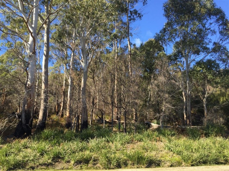 . Gladstone Road, Pioneer TAS 7264