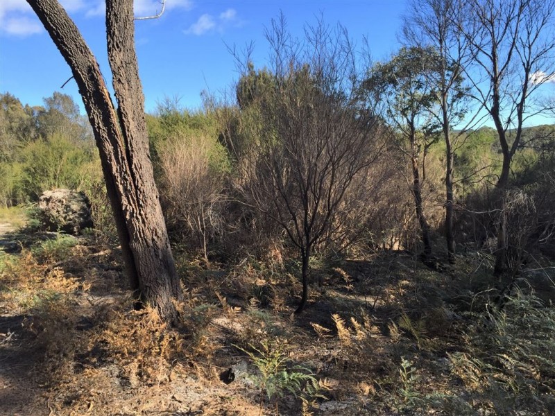 . Gladstone Road, Pioneer TAS 7264