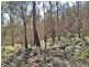 . Gladstone Road, Pioneer TAS 7264