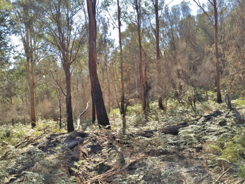 . Gladstone Road, Pioneer TAS 7264