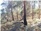 . Gladstone Road, Pioneer TAS 7264
