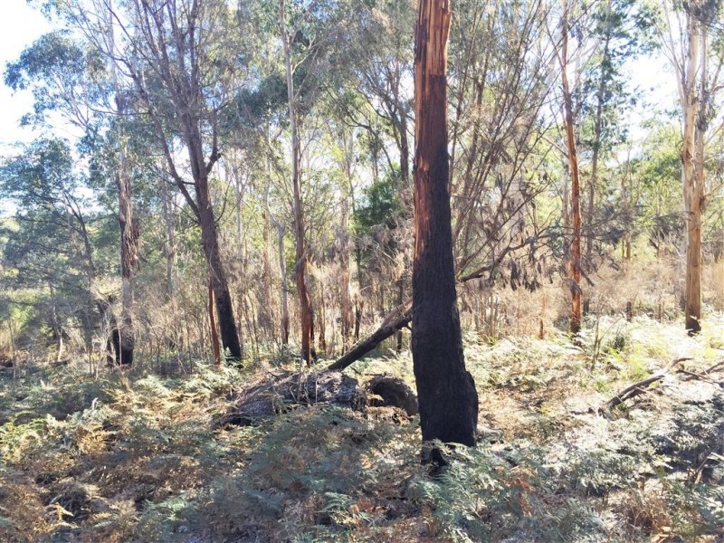 . Gladstone Road, Pioneer TAS 7264