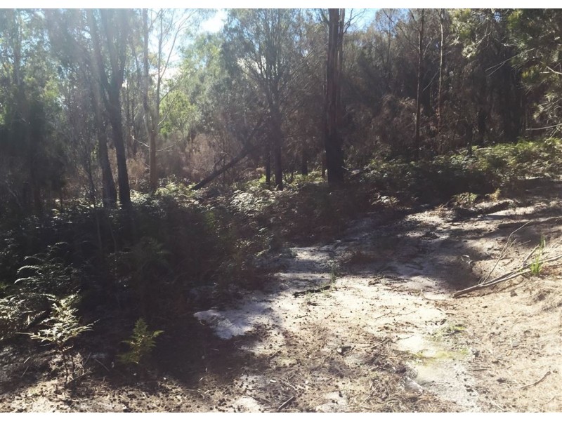 . Gladstone Road, Pioneer TAS 7264