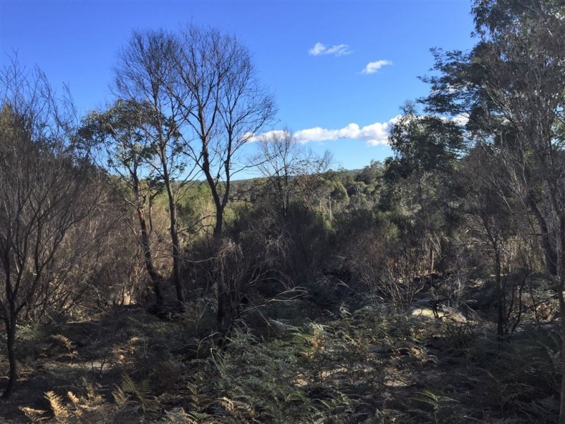 . Gladstone Road, Pioneer TAS 7264