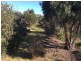 918 North Ansons Road, Gladstone TAS 7264