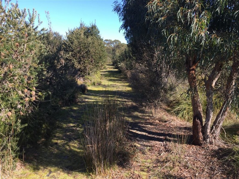 918 North Ansons Road, Gladstone TAS 7264