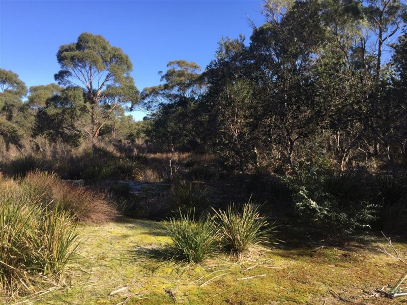 918 North Ansons Road, Gladstone TAS 7264