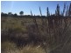 918 North Ansons Road, Gladstone TAS 7264