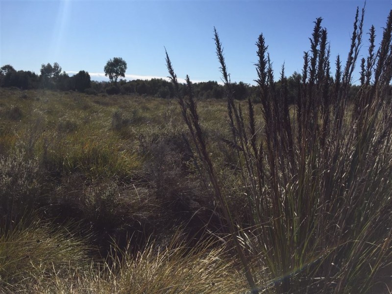 918 North Ansons Road, Gladstone TAS 7264