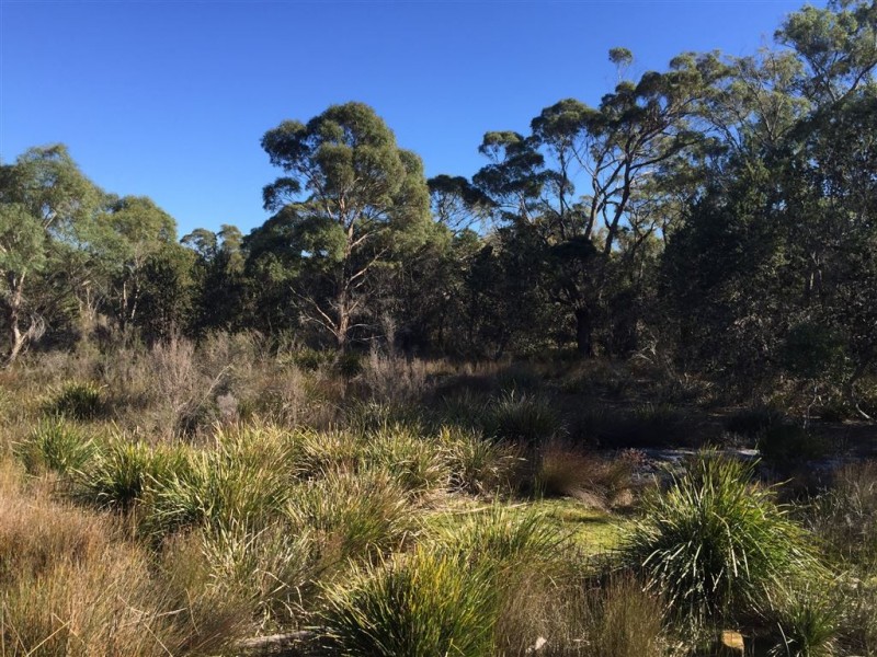 918 North Ansons Road, Gladstone TAS 7264