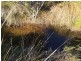 918 North Ansons Road, Gladstone TAS 7264