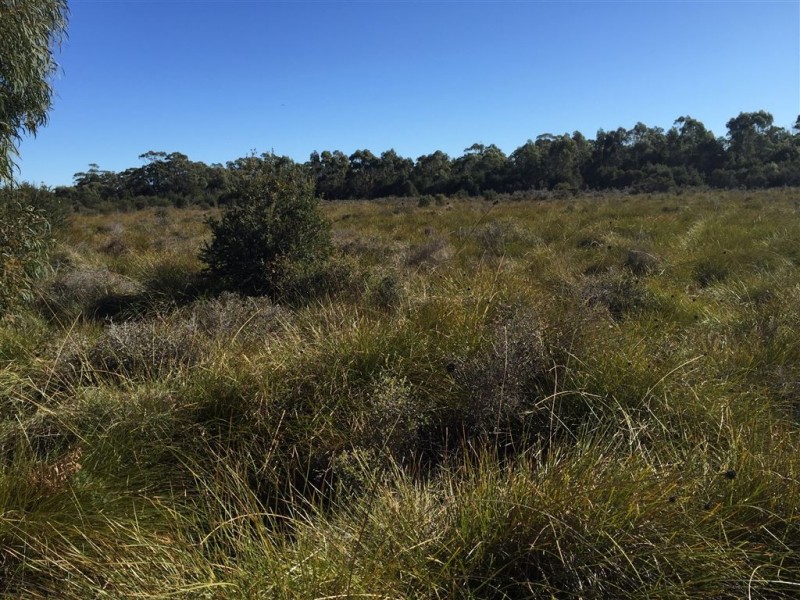 918 North Ansons Road, Gladstone TAS 7264