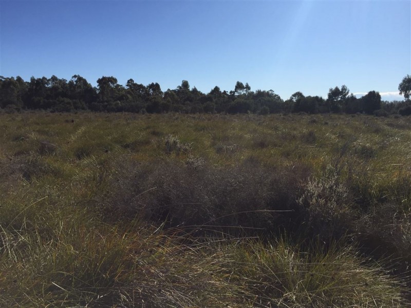 918 North Ansons Road, Gladstone TAS 7264