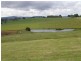 59 Main Street & Lot 1 Hardman’s, Winnaleah TAS 7265