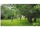 460 South Springfield Rd, Scottsdale TAS 7260