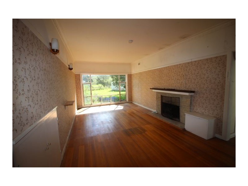 460 South Springfield Rd, Scottsdale TAS 7260