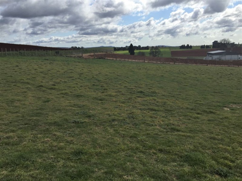 Lot 6 Coplestone Street, Scottsdale TAS 7260