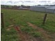 Lot 6 Coplestone Street, Scottsdale TAS 7260