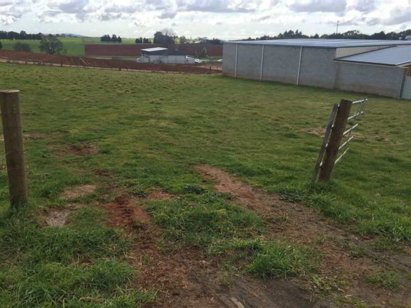 Lot 6 Coplestone Street, Scottsdale TAS 7260