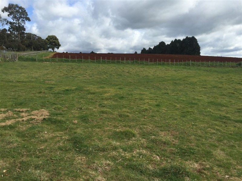 Lot 6 Coplestone Street, Scottsdale TAS 7260