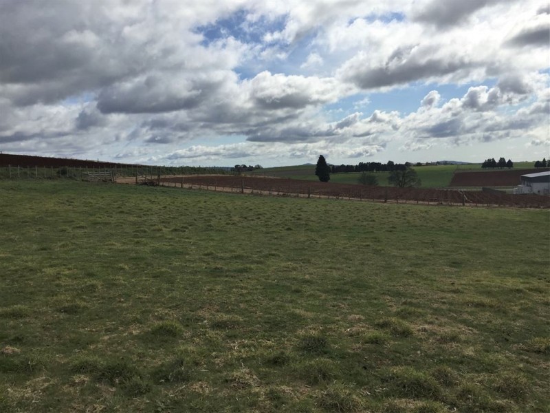 Lot 6 Coplestone Street, Scottsdale TAS 7260