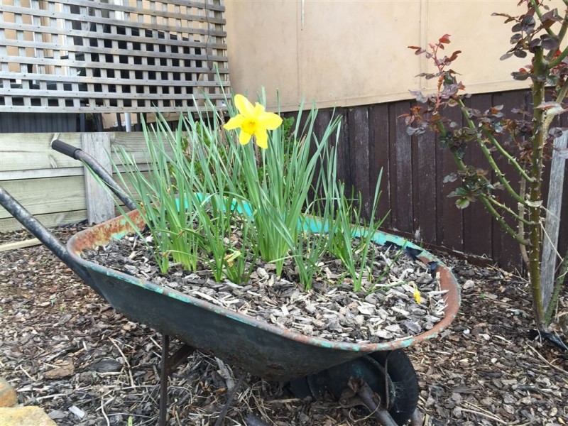 4 North Street, Derby TAS 7264