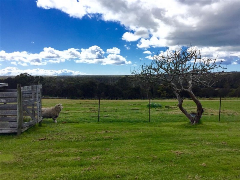 36 Cape Portland Road, Gladstone TAS 7264