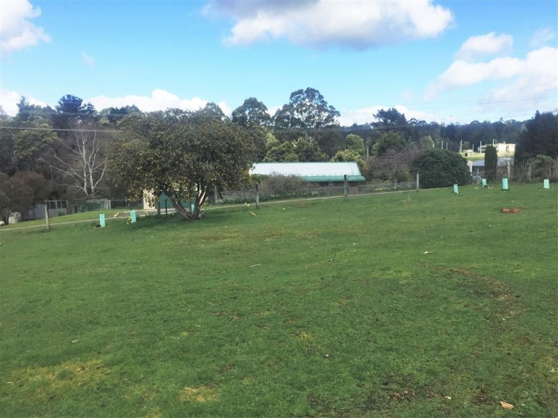 51 Scott Street, Branxholm TAS 7261