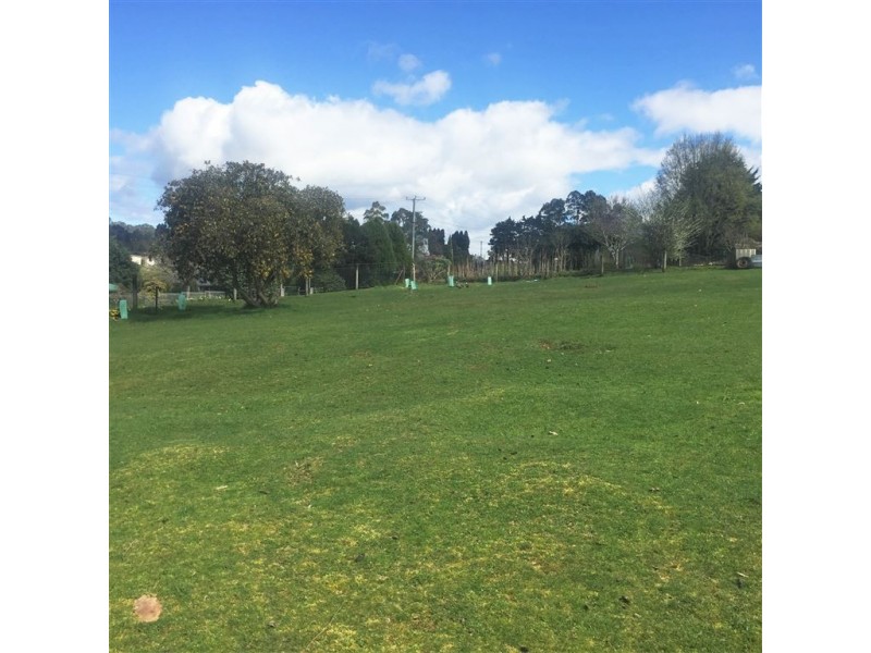 51 Scott Street, Branxholm TAS 7261
