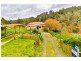 1 Hill Street, Derby TAS 7264