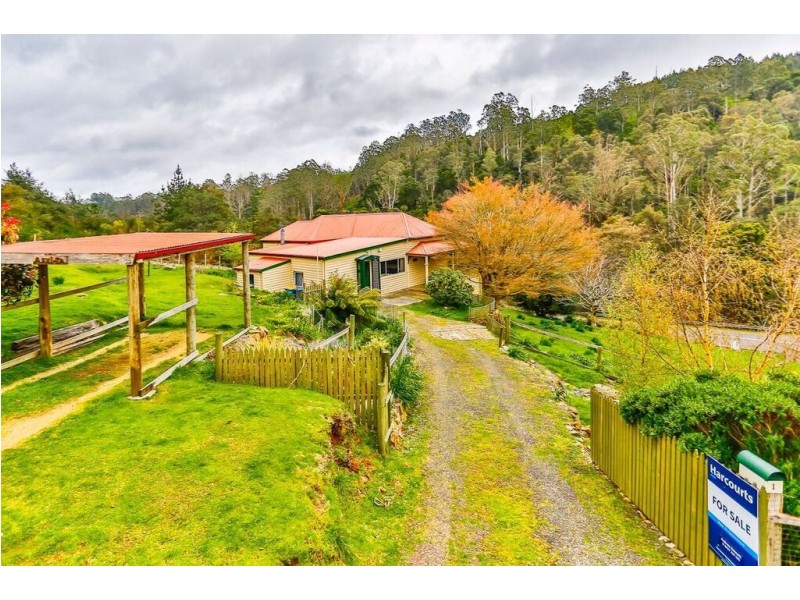 1 Hill Street, Derby TAS 7264