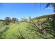 180 Bridport Road, Scottsdale TAS 7260