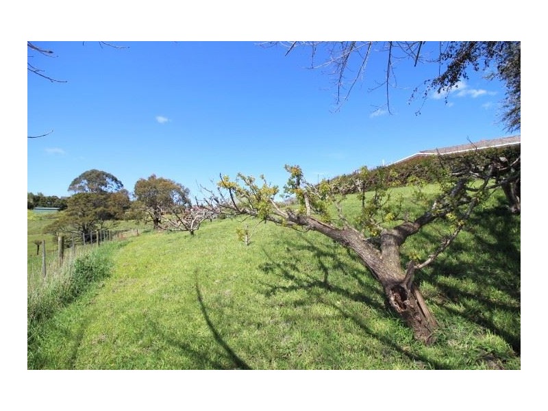 180 Bridport Road, Scottsdale TAS 7260