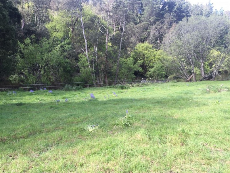 5-7 Main Street, Derby TAS 7264