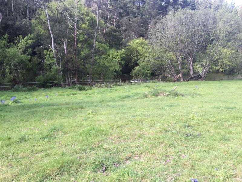 5-7 Main Street, Derby TAS 7264