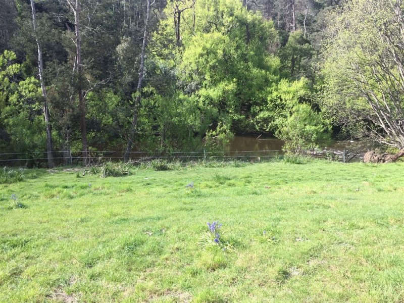 5-7 Main Street, Derby TAS 7264